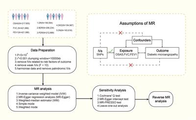 Evaluation of bi-directional causal association between obstructive sleep apnoea syndrome and diabetic microangiopathy: a Mendelian randomization study